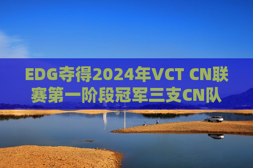 EDG夺得2024年VCT CN联赛第一阶段冠军三支CN队伍晋级上海大师赛