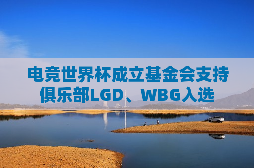 电竞世界杯成立基金会支持俱乐部LGD、WBG入选